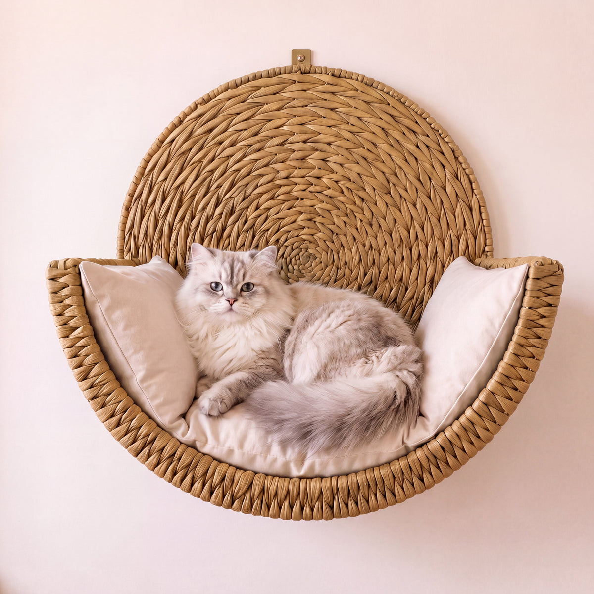 The Nest — Wall Mounted pet Bed